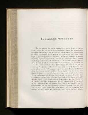 Der morphologische Werth der Hefen