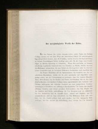 Der morphologische Werth der Hefen