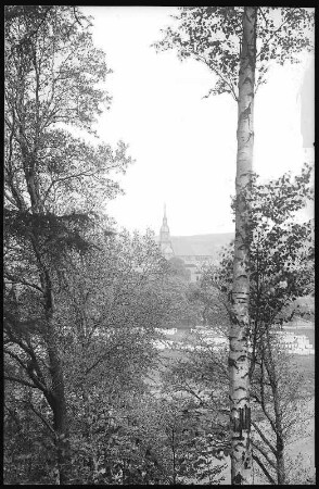 Rochlitz. Blick von den Junkerberg-Promenaden auf die Kunigundenkirche