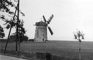 Dahlen-Kleinböhla. Vorsdorfmühle, Turmholländer (Negativ Dr. Gleisberg, Grimma)