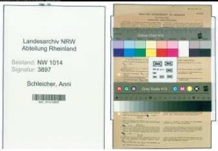Entnazifizierung Anni Schleicher , geb. 27.07.1906 ()