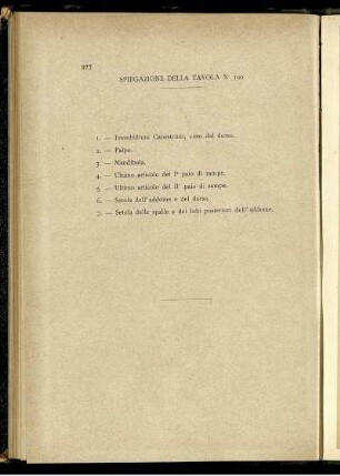 Spiegazione Della Tavola N. 100