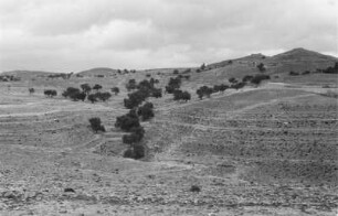 Schichtstufen bei Yafran : Blick auf eine hügelige Landschaft