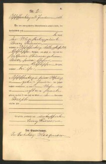 Standesamtsbuch der Stadt Aschaffenburg: Geburten 365/1900 - 184/1901