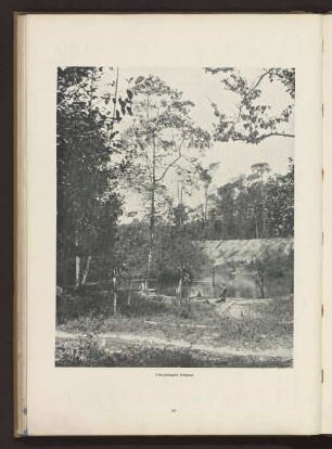 Uma paisagem indigena