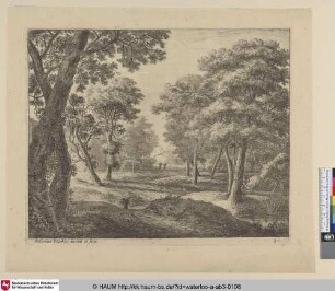 [Ein Pfad durch den Wald; A path through the woods]