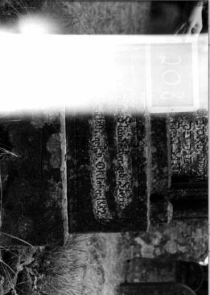 Grabstein 208 [Nir S. 150 Nr. 14.28]: Grabstein 208B [Nir S. 150 Nr. 14.28]
