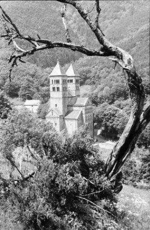 Murbach: Klosterkirche, von oben, mit kahlem Baum im Vordergrund