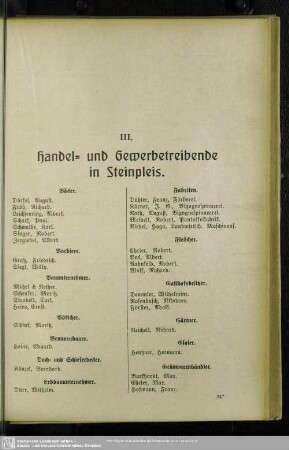 III. Berufsklassen und Gewerbebetriebe : III. Handel- und Gewerbetreibende in Steinpleis