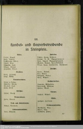 III. Berufsklassen und Gewerbebetriebe : III. Handel- und Gewerbetreibende in Steinpleis