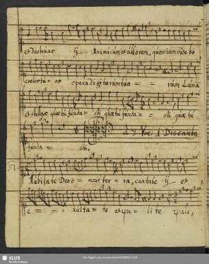 [Gregor Schnitzkius:] Jubilate Deo omnis terra cantate