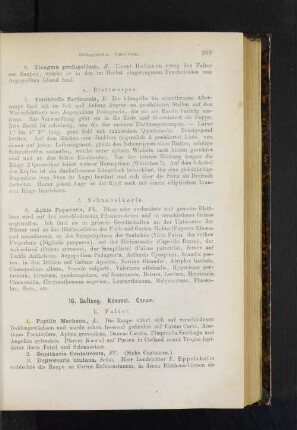 16. Gattung. Kümmel. Carum.