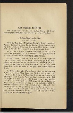 VIII. Flandern 1917 (I)