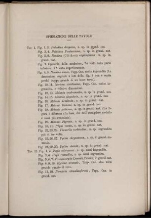 Spiegazione Delle Tavole