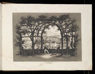 Heidelberg, Alte Brücke, Stadt und Schloss vom Neuenheimer Ufer