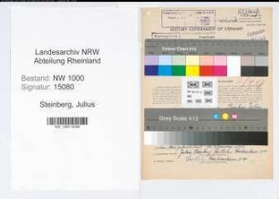 Entnazifizierung Julius Steinberg, geb. 08.11.1891 (Angest.)