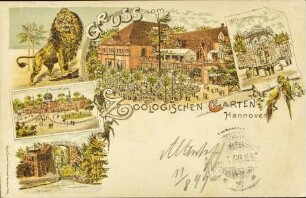 Gruss vom Zoologischen Garten Hannover