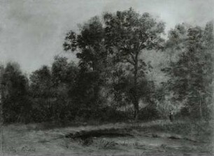 Baumlandschaft