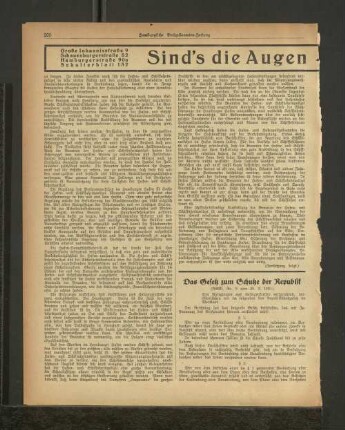 Das Gesetz zum Schutz der Republik
