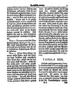 Tabula XXIX.