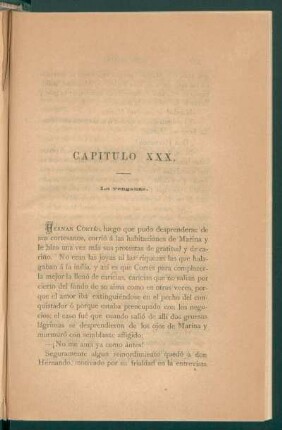 Capítulo XXX. - La venganza.