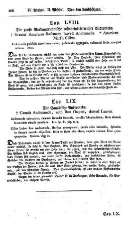 Cap. LVIII. Die große Nordamericanische rosmarinblätterichte Andromeda. Andromeda polifolia Americana. Mihi.