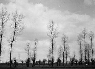 Landschaft, Lier, Flandern, Belgien