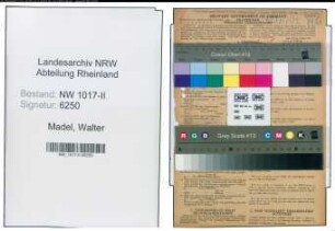 Entnazifizierung Walter Madel , geb. 06.05.1887 (Betriebsassistent)