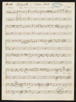 Violoncello & Contra-Basso