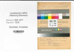 Entnazifizierung Anneliese Schreiber , geb. 21.02.1919 (Stenotypistin)