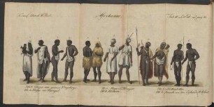 Tab. II Lit D. ad pag. 81. Afrikaner