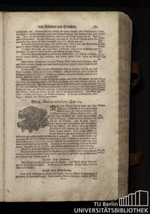 Cap. 114. Mooß, Muscus arborum.
