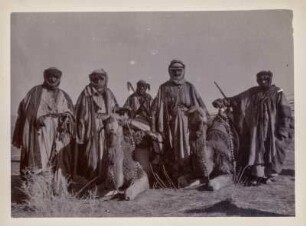 Araber : Fünf arabische Männer mit Kamelen in der mesopotamischern Steppe.