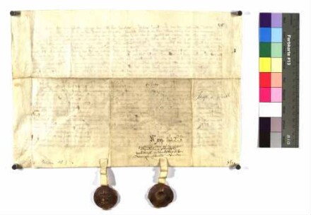 Graf Eberhard von Werdenberg und Graf Heinrich von Werdenberg, Gebrüder, vereinbaren, dass dem Kloster zu den Wengen bei Ulm ein Teil und der Kirchensatz von ihren Gütern zu Albeck (Albegg) zustehen soll und ihrem Oheim von Württemberg (Wirtenberg) seine Rechte und Gült. Wem von ihnen beiden Albeck zufällt, dem soll auch Sontheim (Sunthein) gehören, welches mit 2.400 Pfund abgelößt werden soll. Sodann Bestimmungen wegen des gegenseitigen Erbrechtes bei kinderlosem Ableben, bezüglich der Aussteuer der Töchter und Morgengabe der Frauen, heimfällige Lehen sollen geteilt werden. Ebenso ihr Schaden in Hinsicht auf den Anspruch ihrer Schwester der von Fürstenberg auf ihrer Mutter Gut. Dem Graf Heinrich steht bei der Teilung die erste Wahl zu.