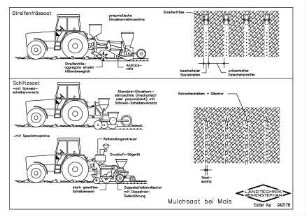 Mulchsaat bei Mais