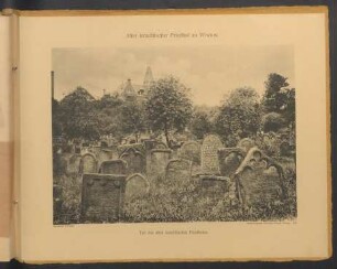 (12) Teil des alten israelitischen Friedhofes