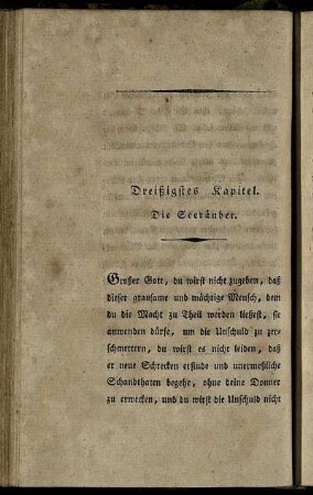 Dreißigstes Kapitel. Die Seeräuber.