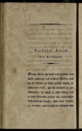 Dreißigstes Kapitel. Die Seeräuber.