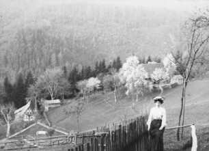 Sächsische Schweiz. Stimmersdorfer Grund. Blick ins Tal, im Vordergrund Anna (Ehefrau des Fotografen)