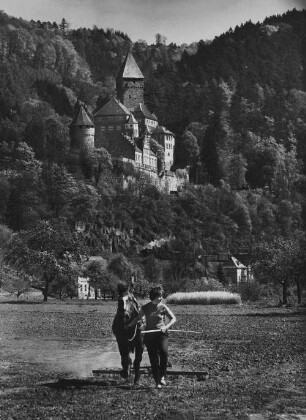 Archivfotografie "neckar_zwingenberg_270"