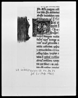 Pseudo Albertus Magnus, Commentarius in Psalmos — Initiale D (ixit insipiens), Folio 3verso