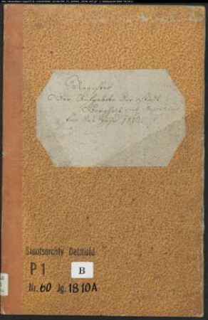 Zivilstandsregister der katholischen Gemeinde Borgentreich, Kreis Warburg (A 1810). (Gemeinde: Katholische Gemeinde Borgentreich, Kreis Warburg)