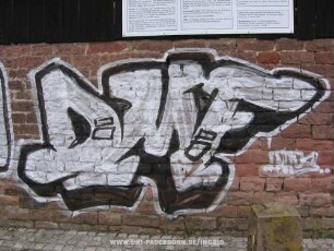 DMF | iNTUS..
