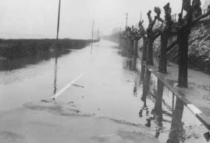 Hochwasser Februar1958 im Rhein bei Lorch