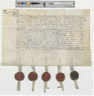 Erbvertrag über einen Hof in Brietlingen, besiegelt von Nicolaus Stoterogge, Jurgen Tobing, Franz von Dassell, Hartwig Stoterogge und Anna, Witwe des Hieronimus Witzendorp.