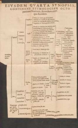 Eiusdem Quarta Synopsis Continens Etymologiam Octo partium Orationis, secundum cuiusque Accidens.