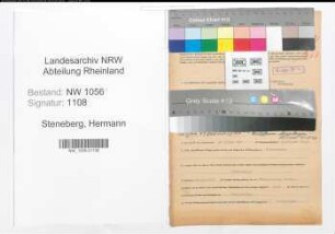 Entnazifizierung Hermann Steneberg , geb. 27.08.1904 (Jurist)