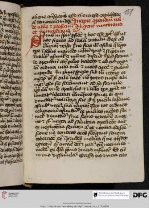 David de Augusta: Formula novitiorum
