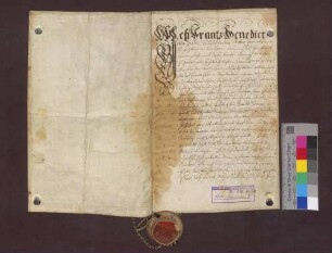 Das Deutsch-Ordens-Haus zu Freiburg übergibt seinen Wittumhof zu Merdingen an Hans Kirtz und Genossen zu Merdingen als Erblehen.