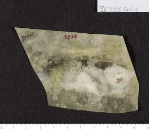 CIL XV 3936 β, Gelatinefolie